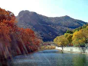 跨国人成：欧美日韩影响力检视